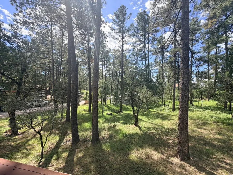 102 Juniper Rd, Ruidoso, NM 88355 - #2