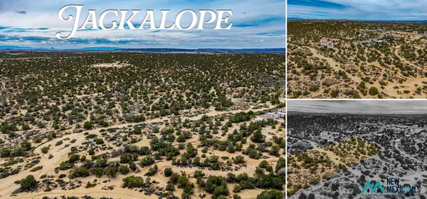 0, Farmington, NM 87402