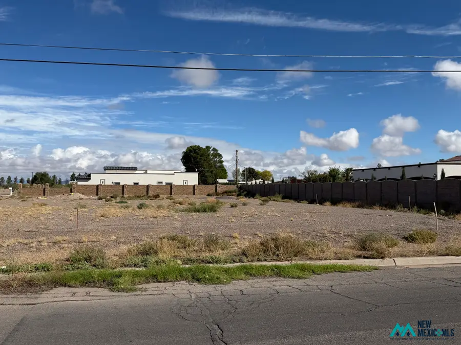 0 Yucca Dr Tract 4, Deming, NM 88030 - #3
