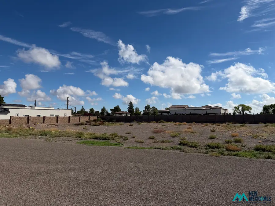 0 Yucca Dr Tract 3, Deming, NM 88030 - #2