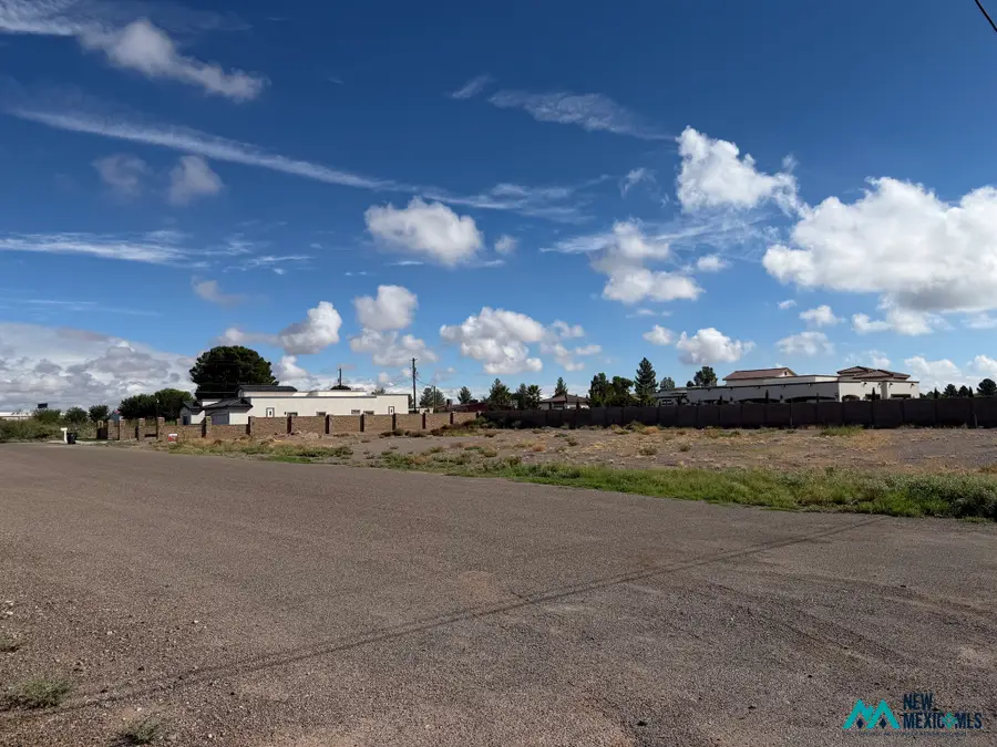 0 Yucca Dr Tract 3, Deming, NM 88030 - #3