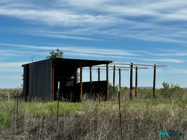 1399 N 9th Hill, Fort Sumner, NM 88119