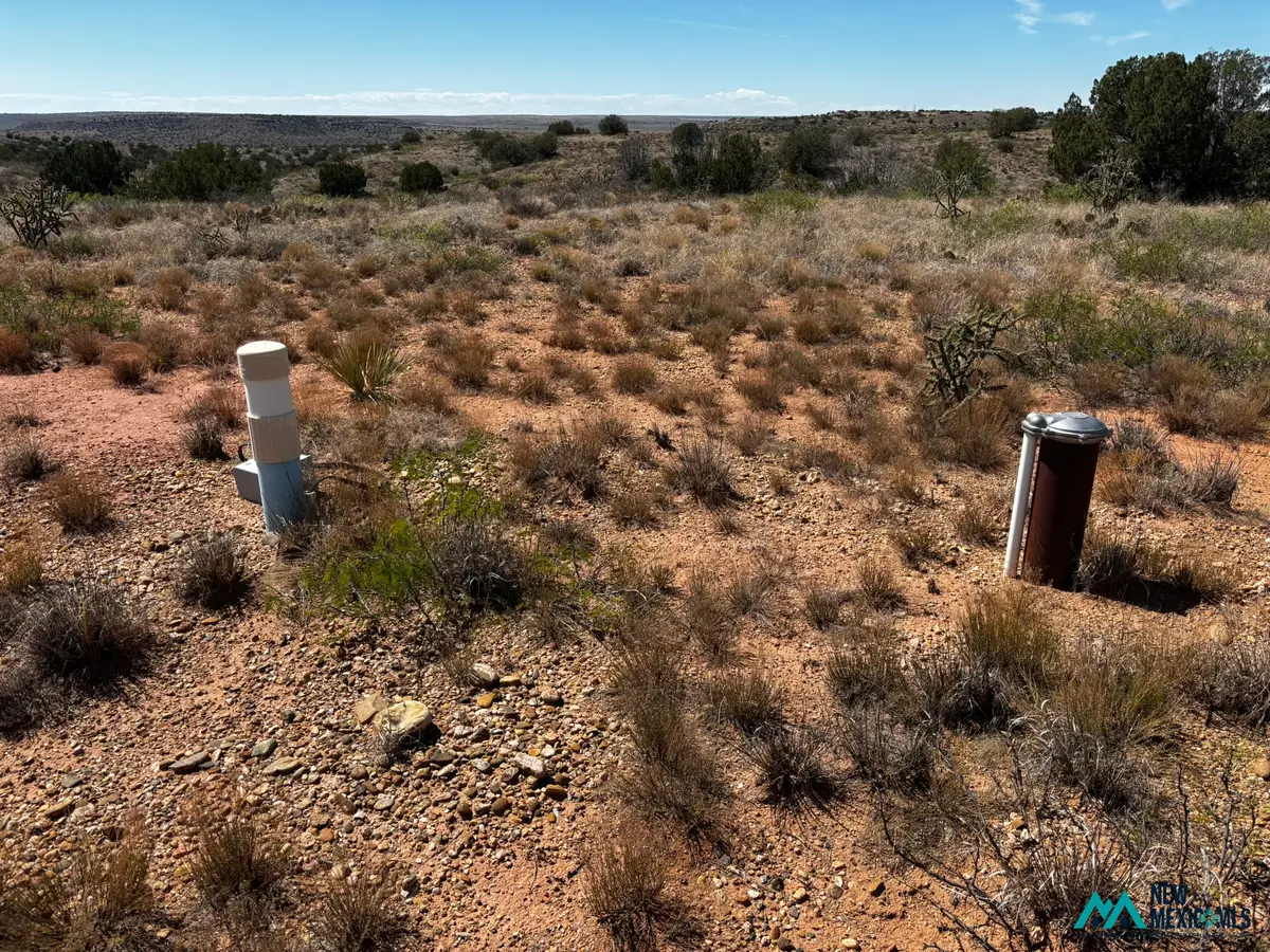 0 Sunset Rd, Lake Sumner, NM 88119 - #1