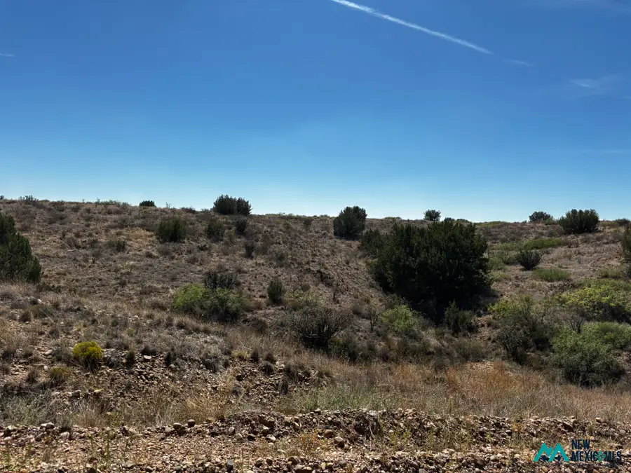 0 Sunset Rd, Lake Sumner, NM 88119 - #3