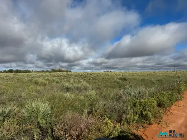 1880 S. Roosevelt Rd 3, Portales, NM 88130