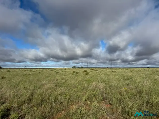 1880 S. Roosevelt Rd 3, Portales, NM 88130 - #3