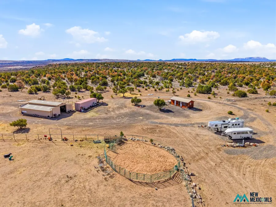 196 Cimarron Dr, Quemado, NM 87829 - #2