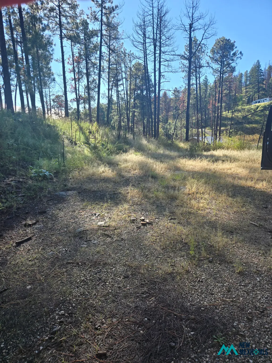 103 Wild Onion Run, Alto, NM 88312 - #1