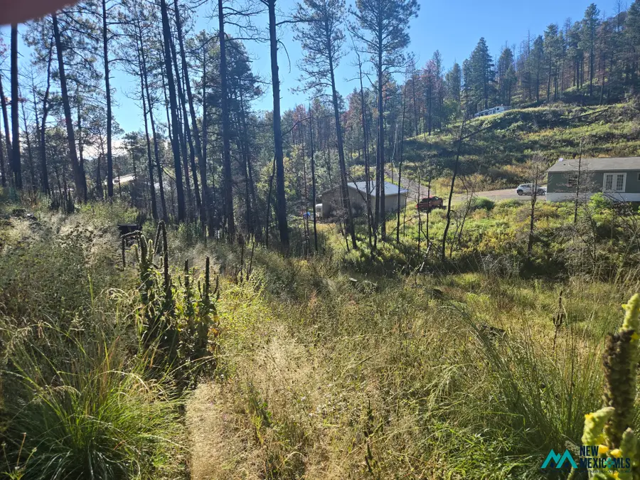 103 Wild Onion Run, Alto, NM 88312 - #2