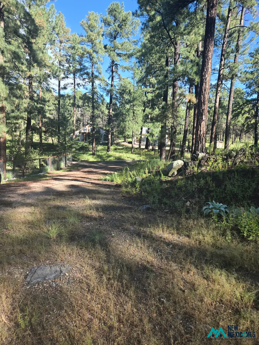 103 Wild Onion Run, Alto, NM 88312 - #3