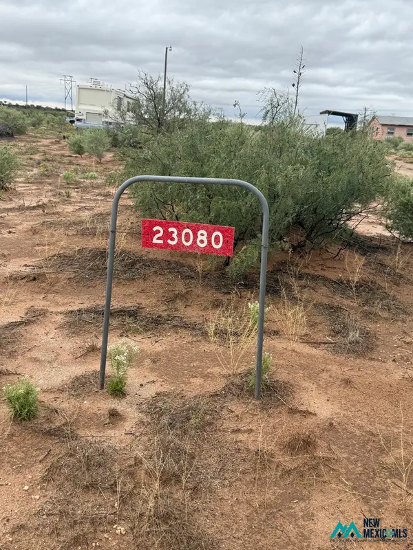 23080 Taxiway, Deming, NM 88030