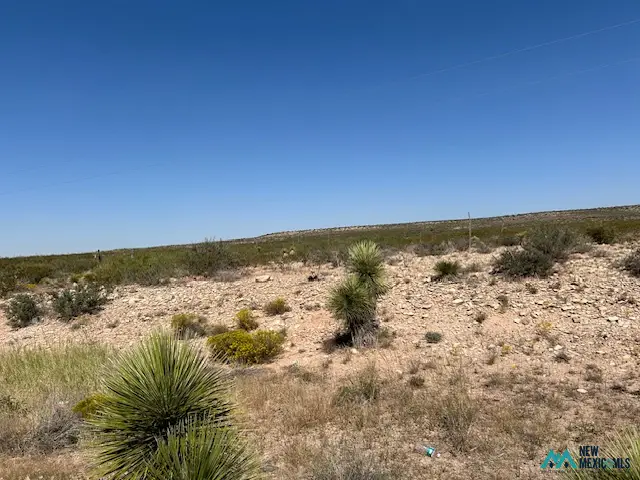 396 Happy Valley Road North Rural Rd, Carlsbad, NM 88220 - #3