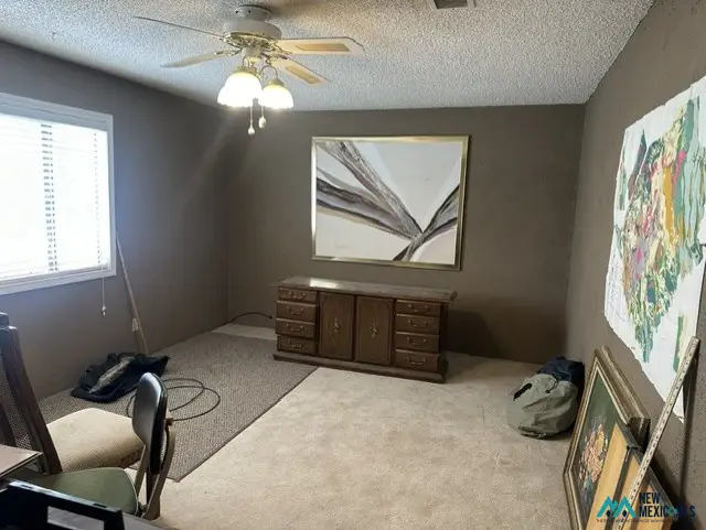 3010 Palo Alto, Carlsbad, NM 88220 - #2