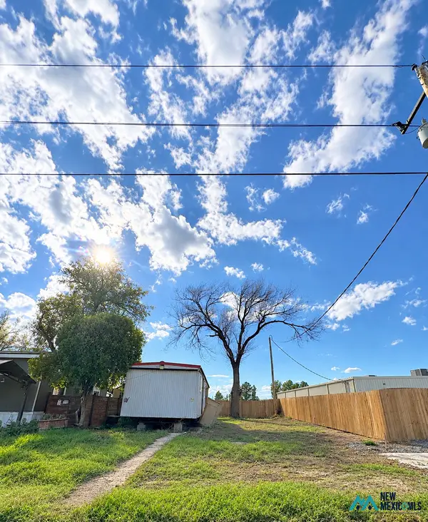 1005 Leech, Hobbs, NM 88240