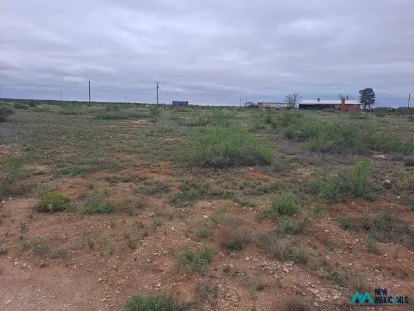 14 Shawnee Ct, Lakewood, NM 88254