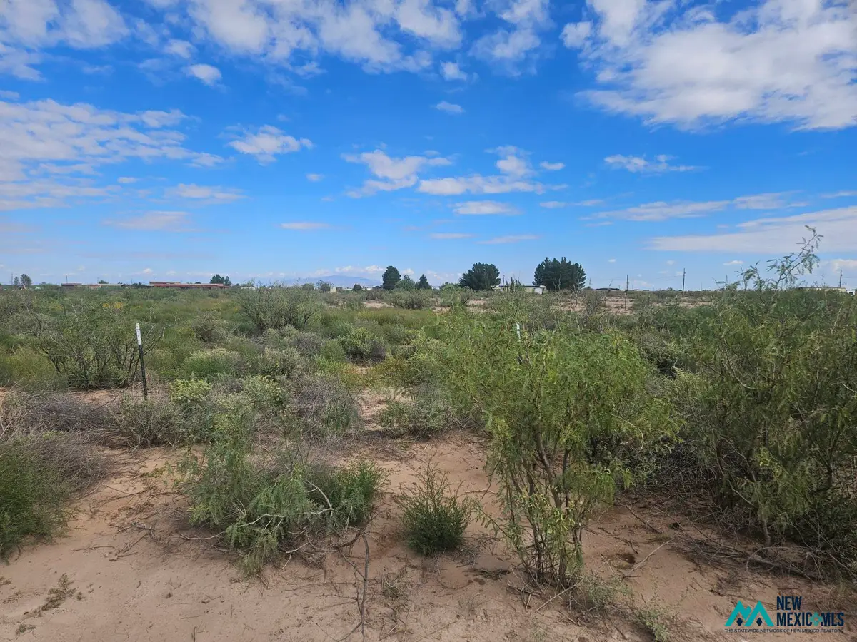 1234 S Luna Rd Se, Deming, NM 88030 - #1
