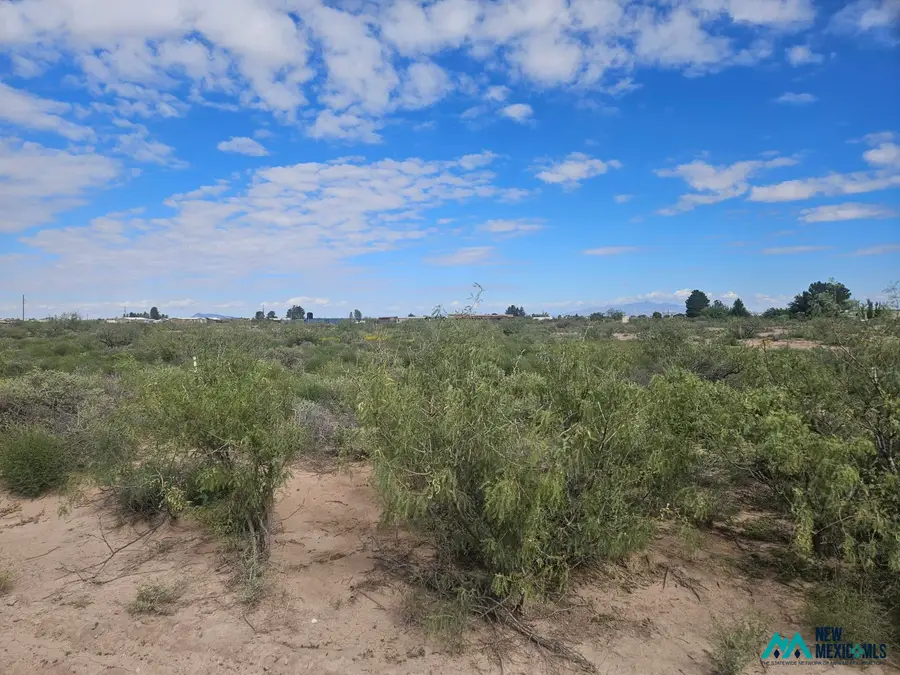 1234 S Luna Rd Se, Deming, NM 88030 - #2