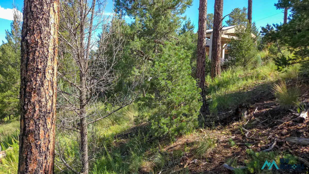 213 Snow Park Rd, Alto, NM 88312 - #1