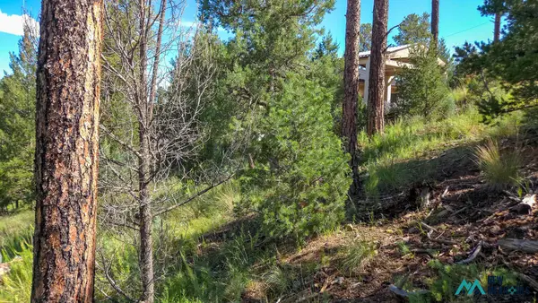 213 Snow Park Rd, Alto, NM 88312