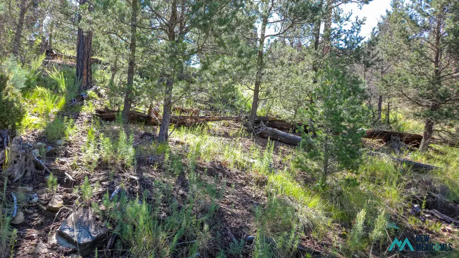 213 Snow Park Rd, Alto, NM 88312 - #2
