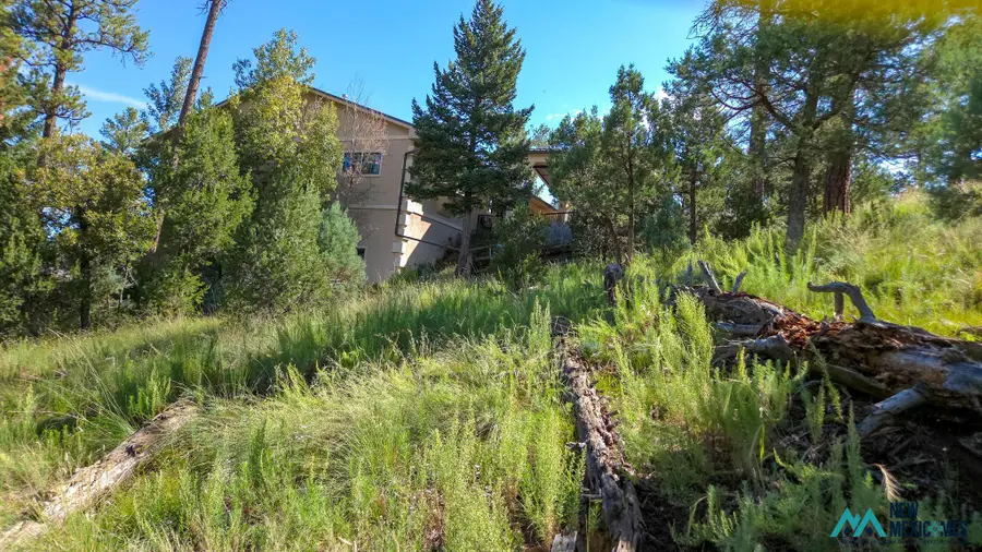213 Snow Park Rd, Alto, NM 88312 - #3
