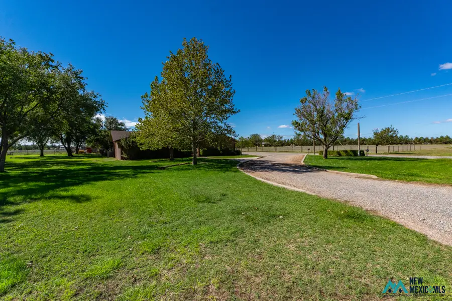 957 State Road 77, Clovis, NM 88101 - #3