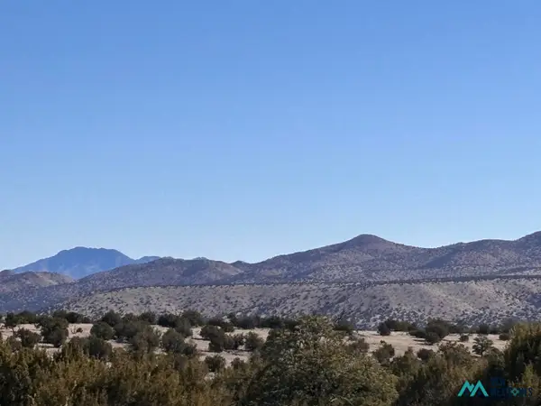 0 Lot 168 Pinon Springs, Magdalena, NM 87825