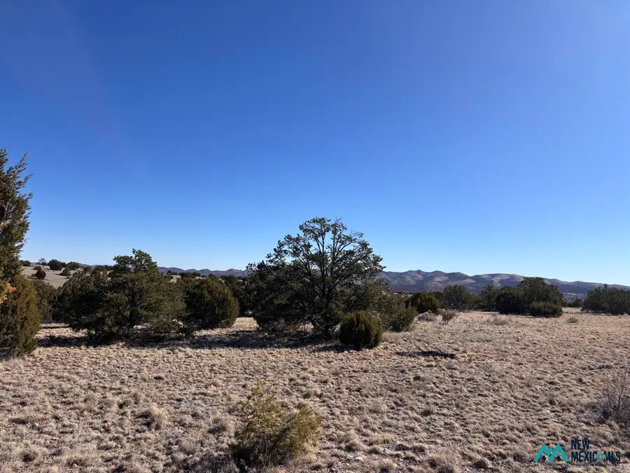 0 Lot 168 Pinon Springs, Magdalena, NM 87825 - #2