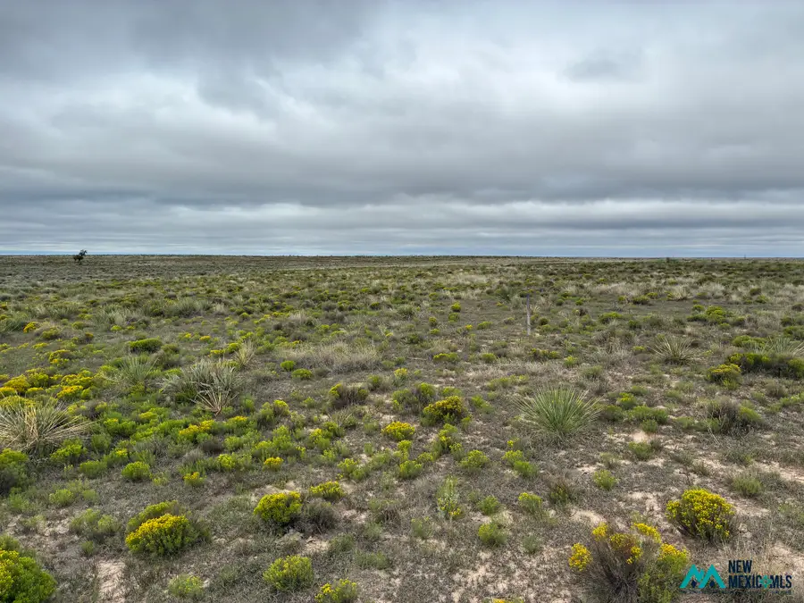 2870 Curry Road 4, Melrose, NM 88124 - #2