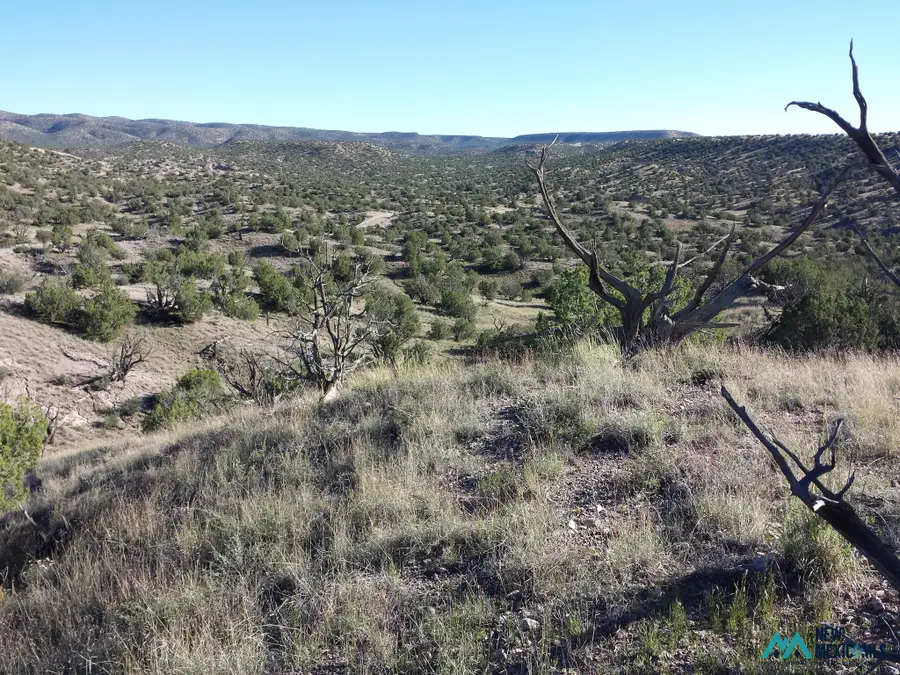 115 Abbe Spgs, Magdalena, NM 87825 - #3