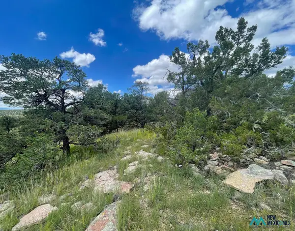 34 Lookout Circle, Datil, NM 87821
