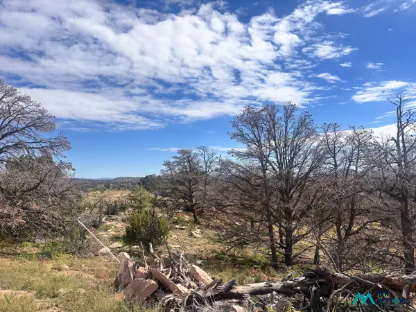 95 Abbe Springs, Magdalena, NM 87825