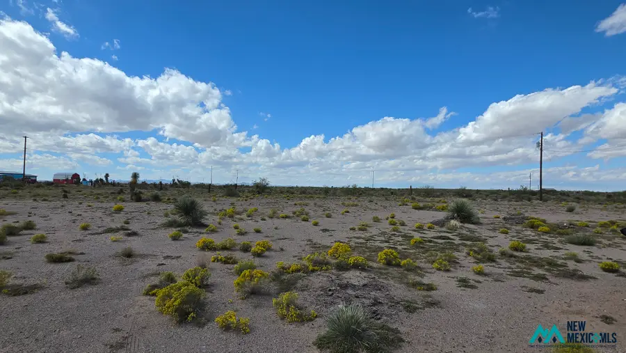 2405 Chile Rd Sw, Deming, NM 88030 - #3
