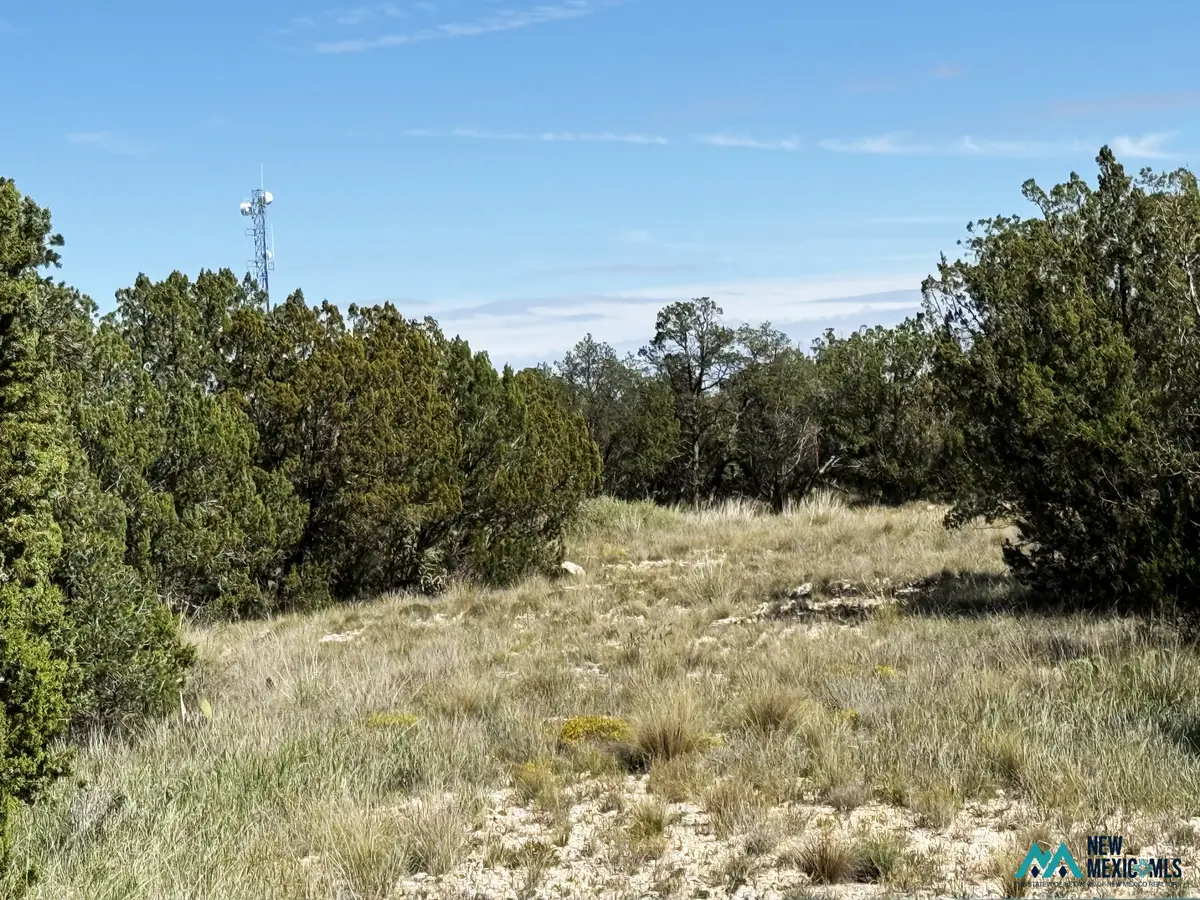 3 N Buckrun Ln, Carlsbad, NM 88220 - #1
