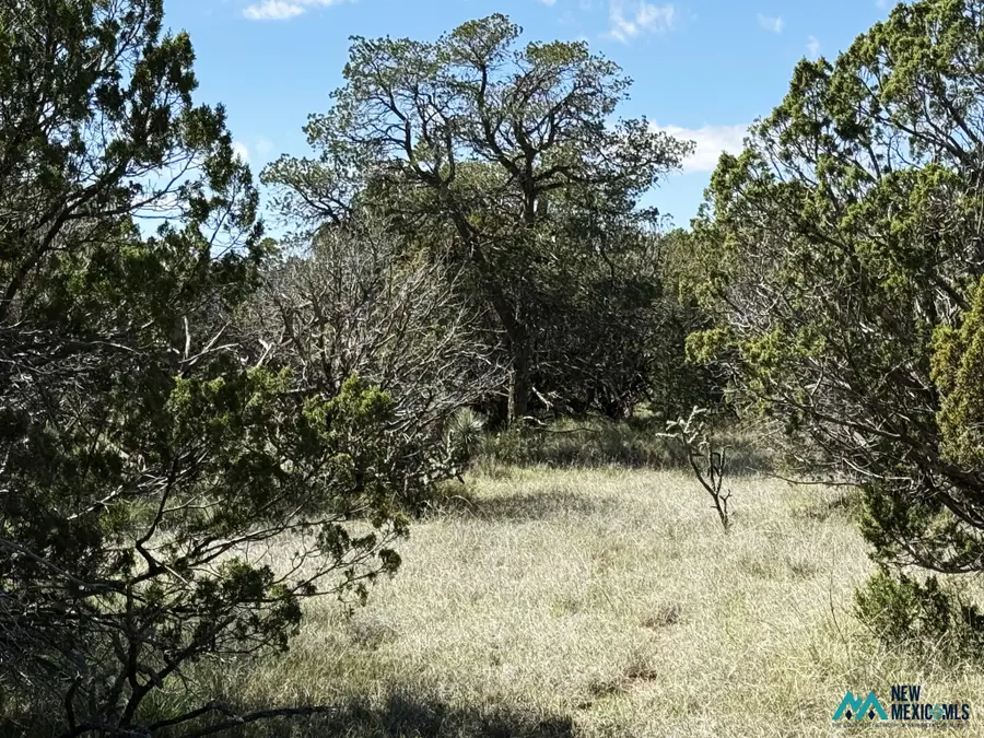 3 N Buckrun Ln, Carlsbad, NM 88220 - #3