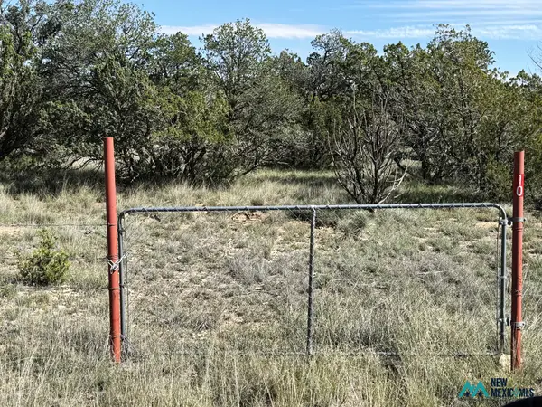 10 Chimney Ln, Carlsbad, NM 88220