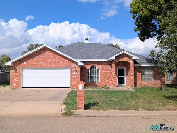 3910 Don January Ave, Clovis, NM 88101
