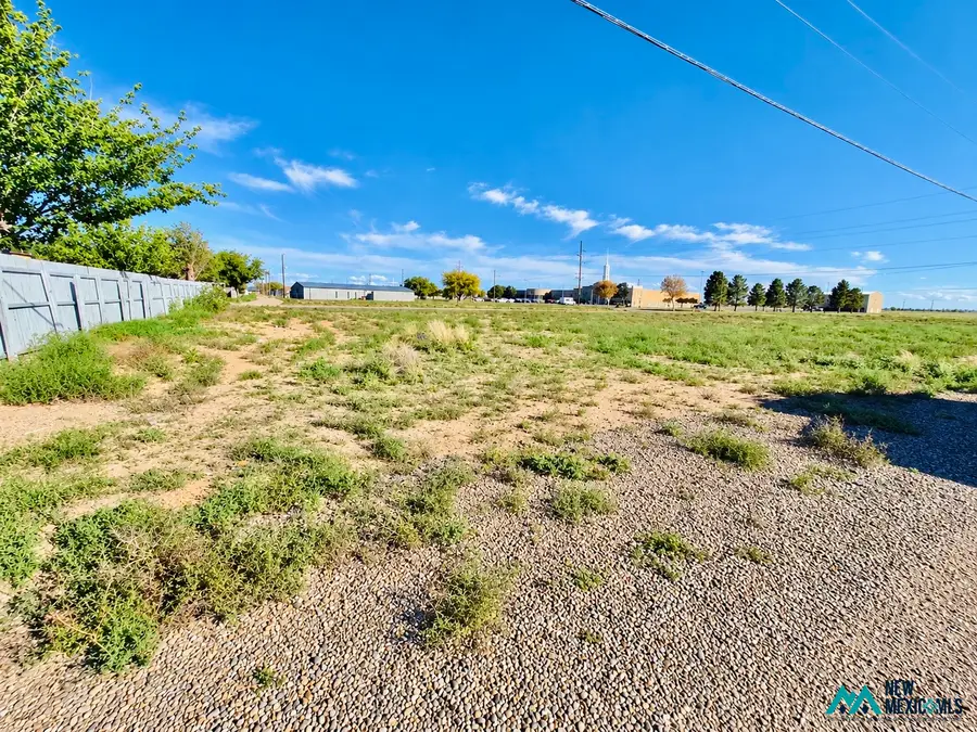 0 Union, Roswell, NM 88203 - #3