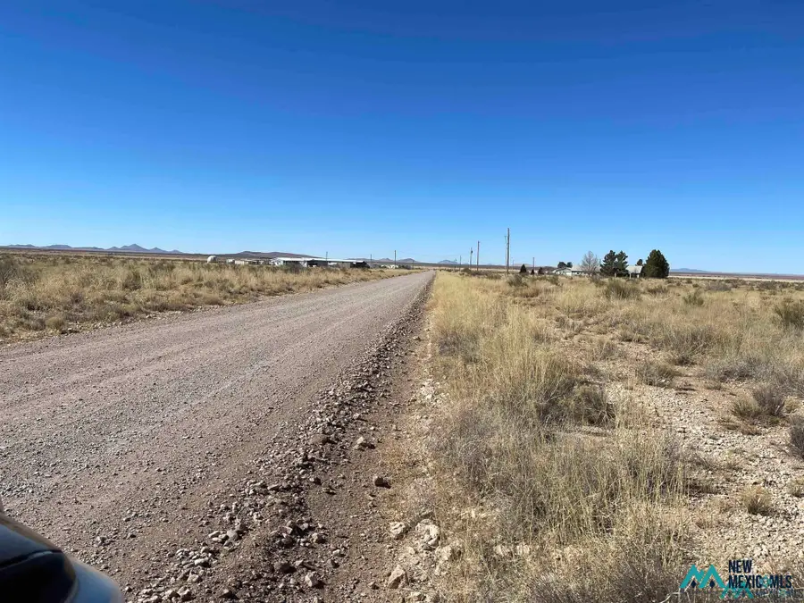 0 Butterfield Rd, Deming, NM 88030 - #2