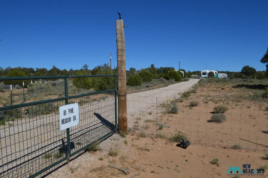 80 Pine Meadows Dr, Pinehill, NM 87357 - #3