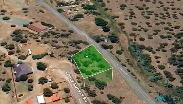 560 Little Smokey Rd, Capitan, NM 88316