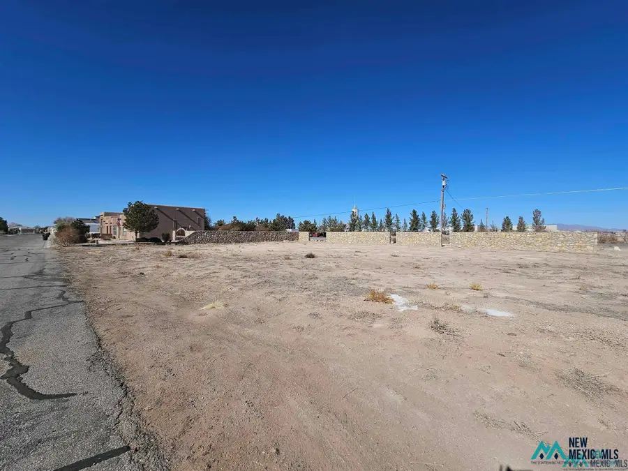 2889 E Water Hazard Dr, Deming, NM 88030 - #2