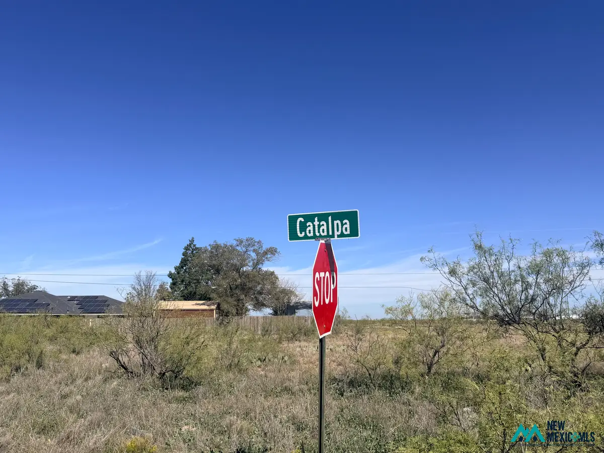 1234 Catalpa, Hobbs, NM 88240 - #1