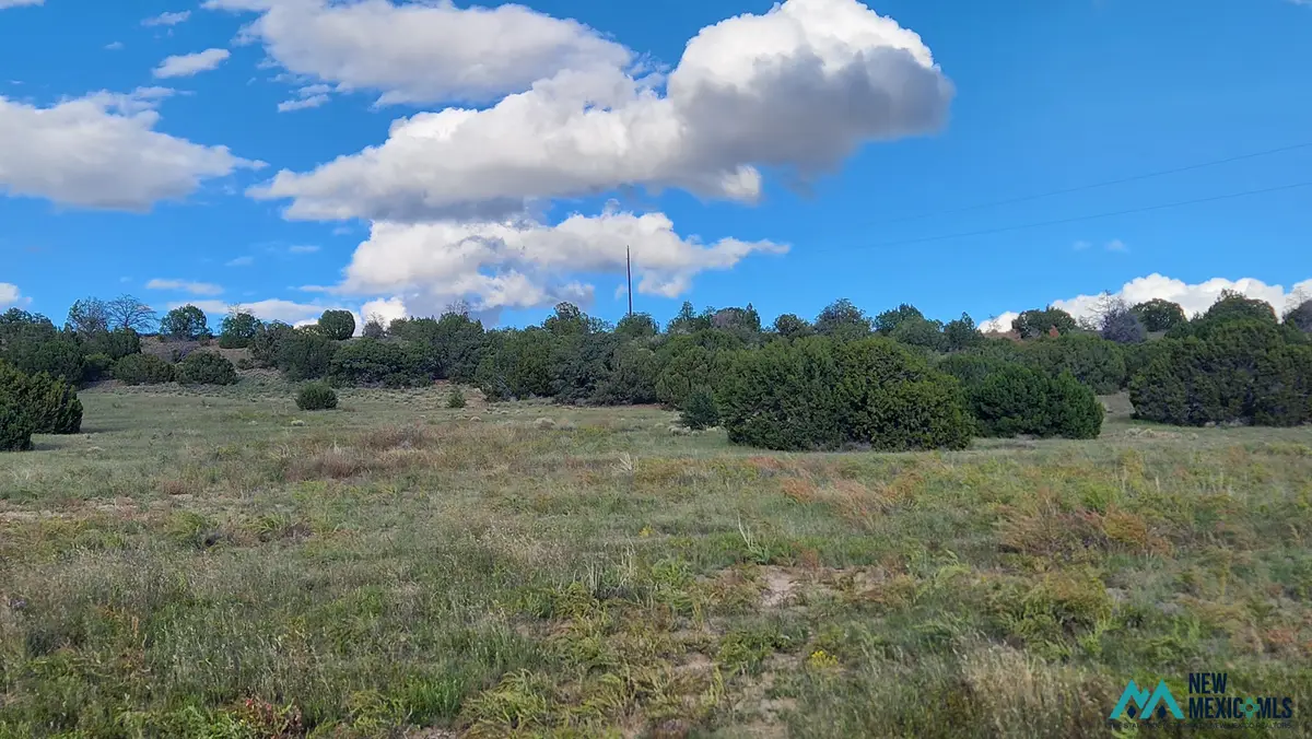 306 Deer Cir, Quemado, NM 87829 - #1