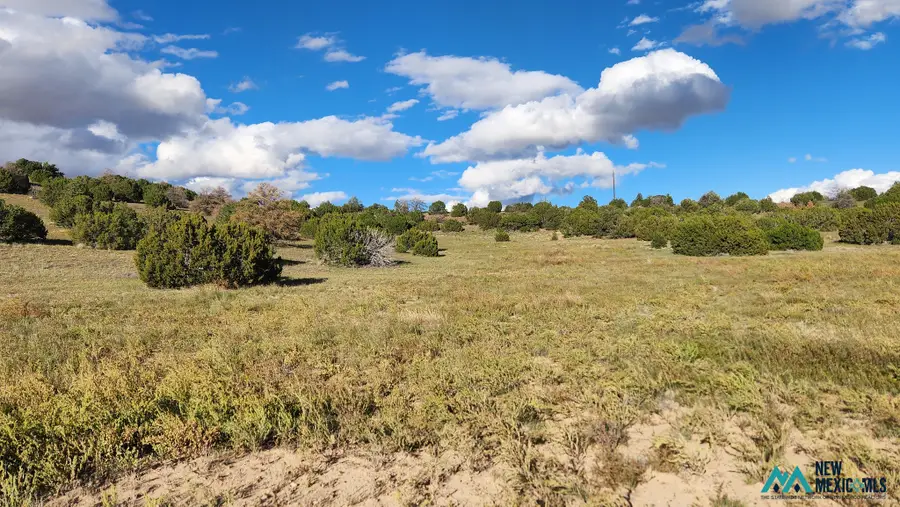 306 Deer Cir, Quemado, NM 87829 - #3