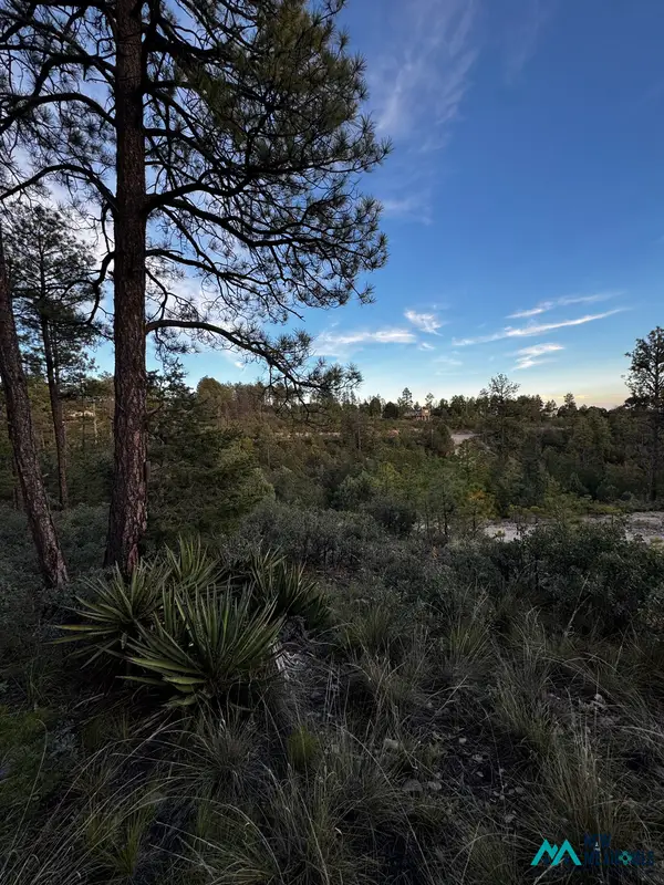 16 Gemini Rd, Timberon, NM 88350