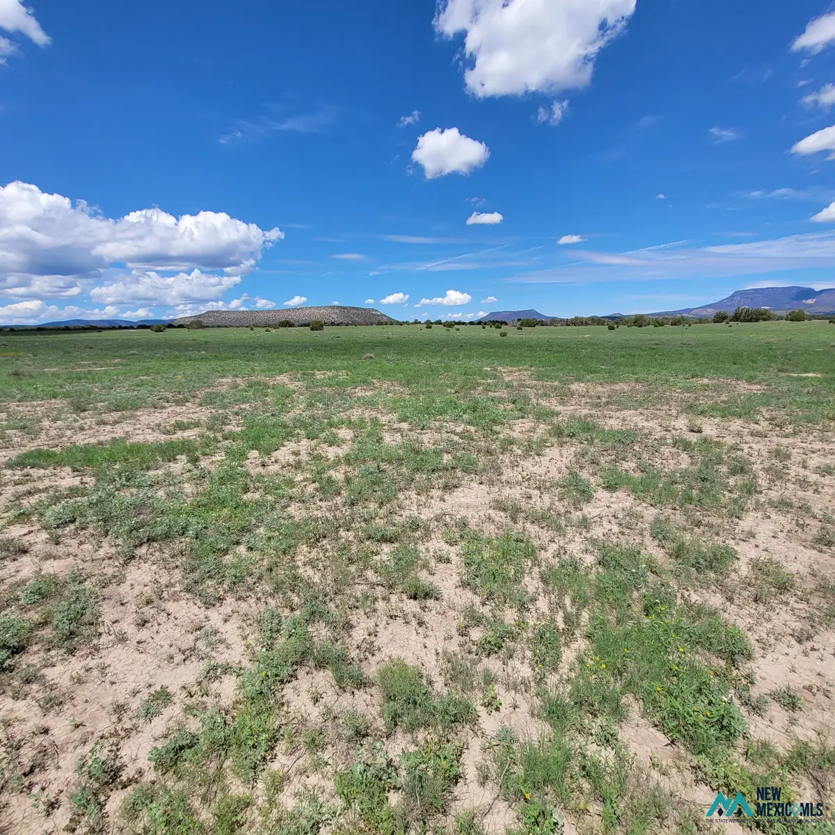 17 Frontier - Lot 17 Trl, Datil, NM 87821 - #1