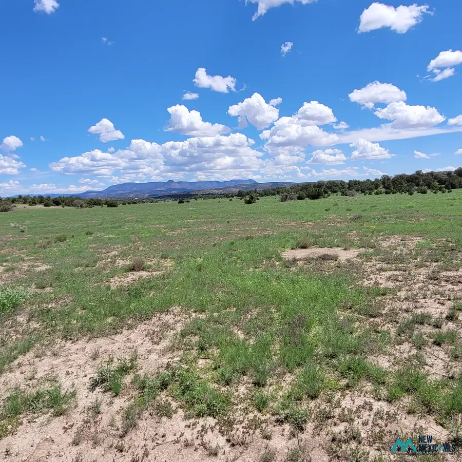 17 Frontier - Lot 17 Trl, Datil, NM 87821 - #2
