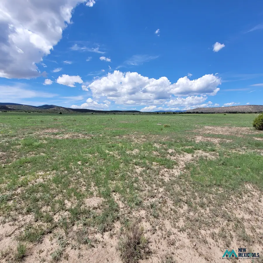 17 Frontier - Lot 17 Trl, Datil, NM 87821 - #3