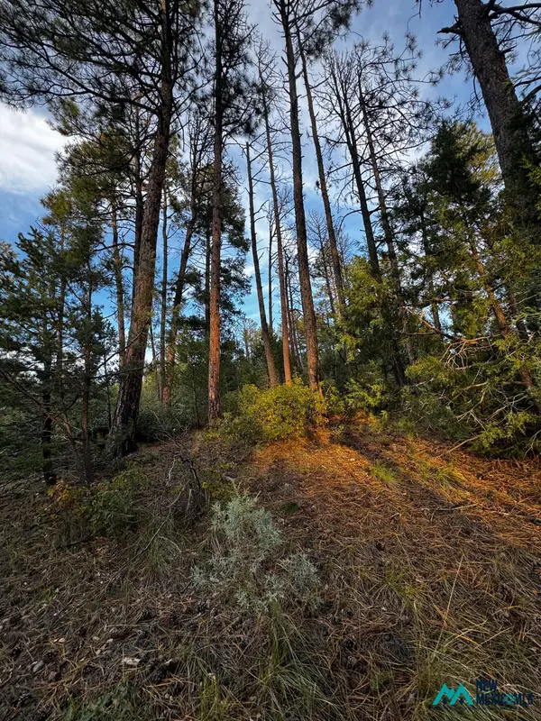 37 Huff Ave, Cloudcroft, NM 88350
